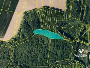 Prodej podílu lesa, Lhota, 275 m2
