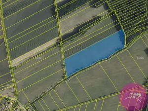 Prodej louky, Bělkovice-Lašťany, 27123 m2