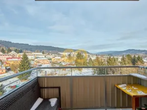 Prodej bytu 1+1, Větřní, Šumavská, 40 m2