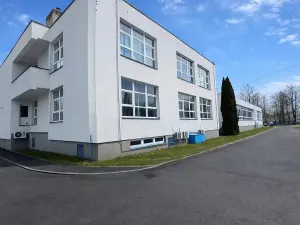 Pronájem výrobních prostor, Ostrava, Výškovická, 1362 m2