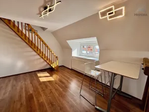 Pronájem bytu 2+kk, Brno, Mahenova, 50 m2