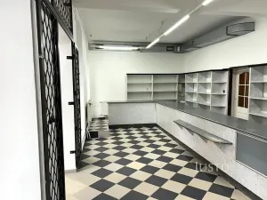 Pronájem obchodního prostoru, Písek, Bakaláře, 60 m2