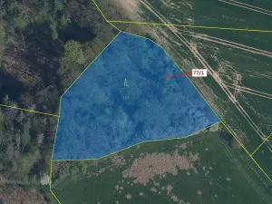 Dražba lesa, Březovice, 4432 m2