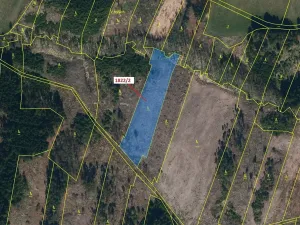 Dražba lesa, Žirovnice, 5108 m2