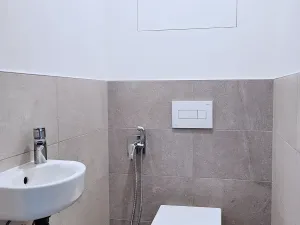 Pronájem bytu 3+kk, Brno, Rybářská, 72 m2