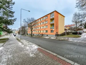 Pronájem bytu 2+1, Plzeň, Zahradní, 47 m2