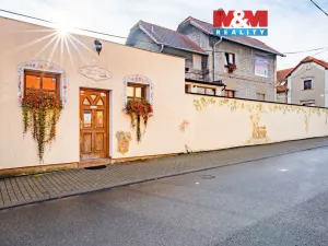 Prodej obchodního prostoru, Kladno - Kročehlavy, Vrchlického, 163 m2