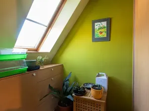 Prodej rodinného domu, Brno, Zeleného, 205 m2