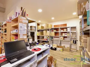 Pronájem obchodního prostoru, Praha - Troja, Lodžská, 254 m2