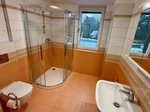 Pronájem bytu 2+kk, Plzeň, Kotíkovská, 56 m2