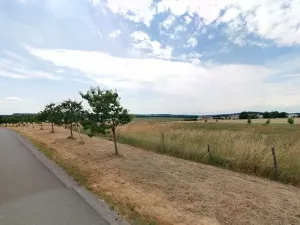 Prodej pole, Maršov, 31902 m2