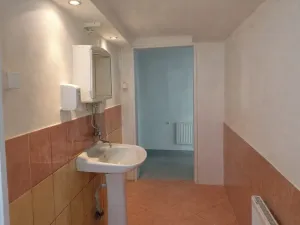 Pronájem obchodního prostoru, Příbram - Příbram VIII, Budovatelů, 220 m2