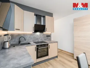 Pronájem bytu 1+1, Ústí nad Labem - Neštěmice, Seifertova, 37 m2