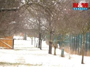 Prodej pole, Starý Poddvorov, 4096 m2