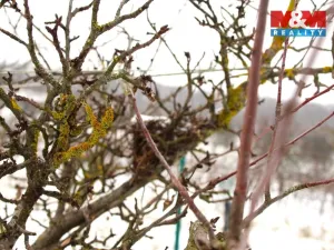 Prodej pole, Starý Poddvorov, 4096 m2