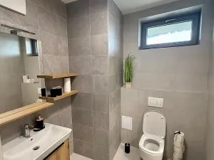 Prodej bytu 1+kk, Brno, Řepova, 42 m2