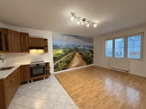 Pronájem bytu 2+kk, Mladá Boleslav - Mladá Boleslav II, 17. listopadu, 55 m2