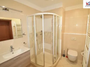 Pronájem bytu 4+1, Teplice, Masarykova třída, 172 m2