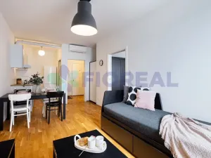 Pronájem bytu 2+kk, Praha - Žižkov, Hartigova, 45 m2