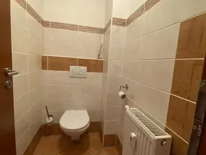 Pronájem bytu 3+kk, Kladno, Máchova, 150 m2