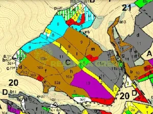 Prodej lesa, Všemina, 68618 m2