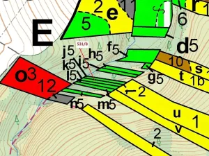 Dražba lesa, Havlíčkův Brod, 212 m2
