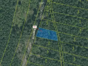 Dražba lesa, Vesce, 682 m2