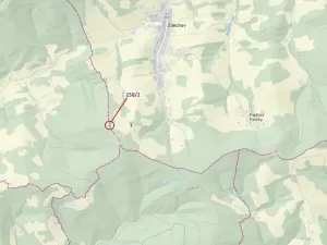 Dražba lesa, Zděchov, 697 m2