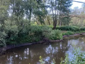 Dražba pozemku, Mimoň, 11189 m2