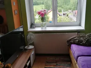 Prodej bytu 2+1, Velká Štáhle, 69 m2