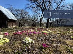Prodej pozemku pro bydlení, Brno, Dubová, 1900 m2