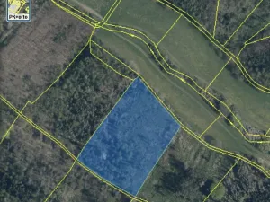 Prodej lesa, Kropáčova Vrutice - Sušno, 15167 m2