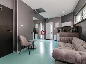 Prodej ubytování, Ostrava, 17. listopadu, 138 m2