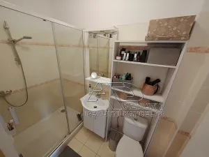 Pronájem atypického bytu, České Budějovice, 54 m2