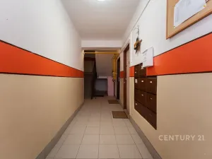 Prodej bytu 2+1, Meziboří, Hornická, 60 m2