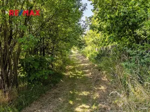 Prodej pozemku pro bydlení, Svojkov, 2003 m2