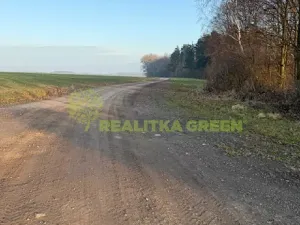 Prodej lesa, Jistebník, 5452 m2