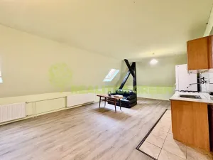 Pronájem bytu 1+kk, Veselá, 50 m2