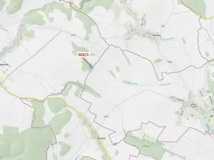 Dražba lesa, Přemyslovice, 7049 m2