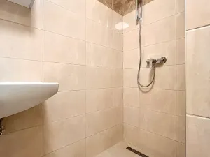 Pronájem bytu 2+1, Praha - Žižkov, Zelenky-Hajského, 70 m2