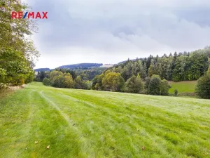 Prodej pozemku pro bydlení, Orličky, 61702 m2