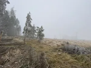 Prodej lesa, Městečko Trnávka - Lázy, 32904 m2