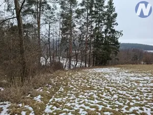 Prodej lesa, Lčovice, 759 m2