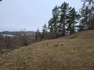 Prodej lesa, Lčovice, 759 m2