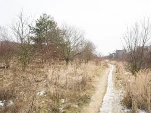 Pronájem bytu 3+kk, Praha - Jinonice, Brzorádových, 100 m2