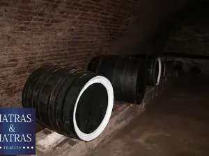 Prodej pozemku pro bydlení, Pavlov, Rudolfa Gajdoše, 59 m2