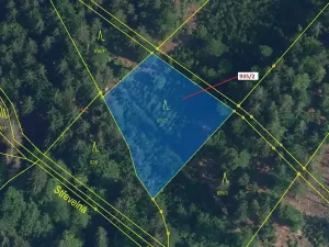 Dražba lesa, Jílové u Držkova, 1684 m2