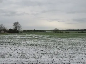 Dražba louky, Chotěšice, 11382 m2