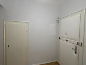 Pronájem bytu 2+kk, Praha - Vinohrady, Kouřimská, 54 m2