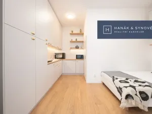 Pronájem bytu 1+kk, Brno, Francouzská, 20 m2
